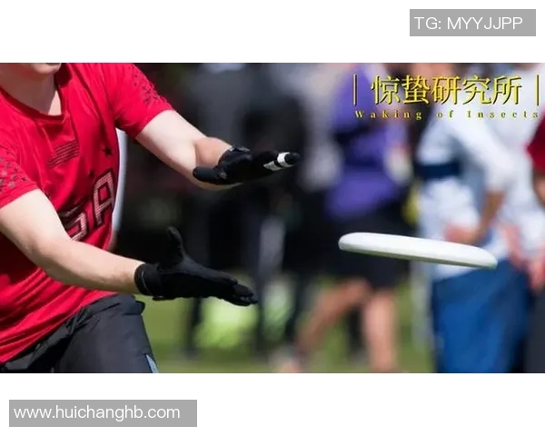 科学飞盘训练技巧与方法全面解析提升运动表现与技能的有效策略